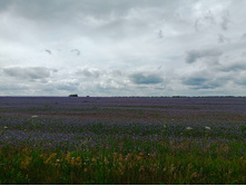 20250705 ������-400 ����������� 142256.jpg