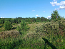 20250705 ������-400 ����������� 181235.jpg