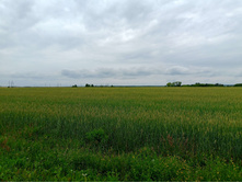 20250705 ������-400 ����������� 115153.jpg