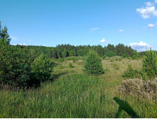 20250705 ������-400 ����������� 181236.jpg