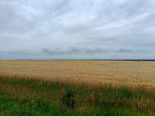 20250705 ������-400 ����������� 115431.jpg