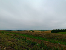 20250705 ������-400 ����������� 094108.jpg