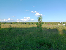 20250705 ������-400 ����������� 182837.jpg