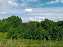 20250705 ������-400 ����������� 152455.jpg