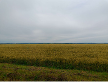 20250705 ������-400 ����������� 090659.jpg