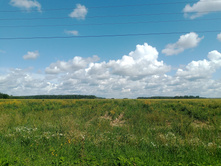 20250809 ������-200 ���������� 115603.jpg