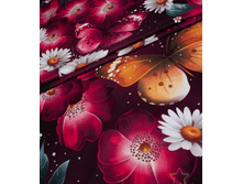 ����� (������� 220 ��)1.png