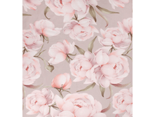 ����� (������� 220 ��)2.png