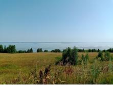 20250726 ������-600 ������� 134417.jpg