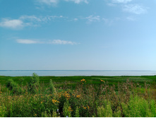 20250726 ������-600 ������� 135143.jpg