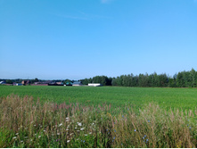 20250727 ������-600 ������� 070501.jpg