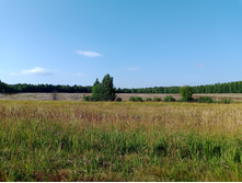 20250726 ������-600 ������� 164855.jpg