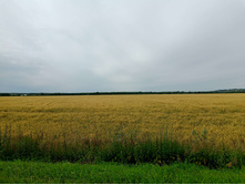 20250705 ������-400 ����������� 082347.jpg