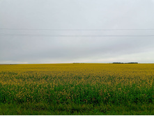 20250705 ������-400 ����������� 102927.jpg