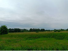 20250705 ������-400 ����������� 081927.jpg