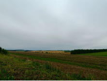 20250705 ������-400 ����������� 094055.jpg