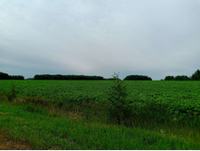 20250705 ������-400 ����������� 084225.jpg