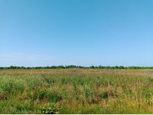 20250726 ������-600 ������� 143629.jpg