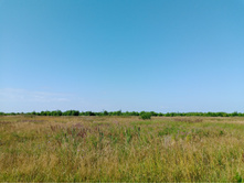 20250726 ������-600 ������� 143623.jpg