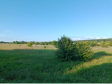 20250705 ������-400 ����������� 185213.jpg