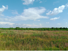 20250727 ������-600 ������� 145727.jpg