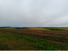 20250705 ������-400 ����������� 094440.jpg