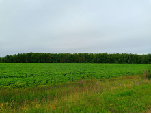 20250705 ������-400 ����������� 084232.jpg