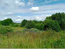 20250705 ������-400 ����������� 152504.jpg