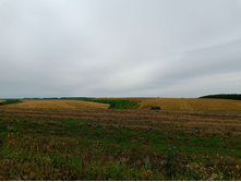 20250705 ������-400 ����������� 094227.jpg