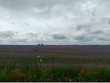 20250705 ������-400 ����������� 142309.jpg