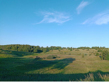 20250705 ������-400 ����������� 190822.jpg