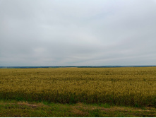 20250705 ������-400 ����������� 090658.jpg