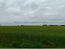 20250705 ������-400 ����������� 115154.jpg