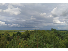 IMG 20250804 175813.jpg