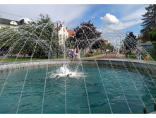 IMG 20250731 163053.jpg