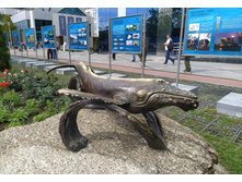 IMG 20250806 133253.jpg