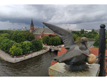 IMG 20250806 161425.jpg