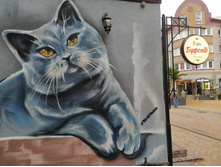 IMG 20250805 145554.jpg