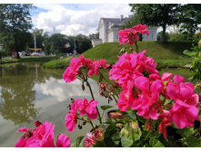 IMG 20250731 131045.jpg