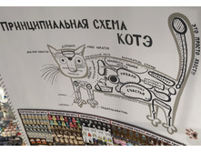 IMG 20250805 142634.jpg