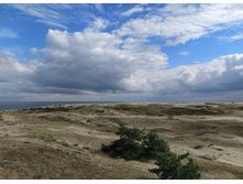 IMG 20250804 152119.jpg