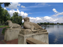 IMG 20250731 132955.jpg