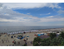 IMG 20250802 152600.jpg