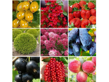 ��������� �������� �������! ���� 30 ��� - ������������ ���������� ��������!