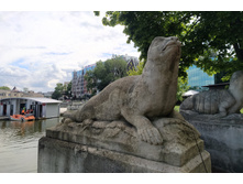 IMG 20250731 133106.jpg