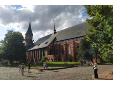 IMG 20250731 172334.jpg