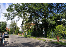 IMG 20250731 123723.jpg