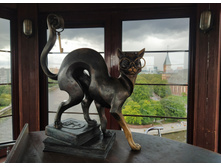 IMG 20250806 161924.jpg