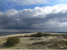 IMG 20250804 153534.jpg