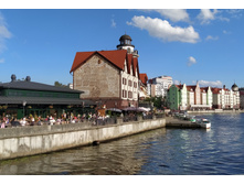 IMG 20250731 172435.jpg